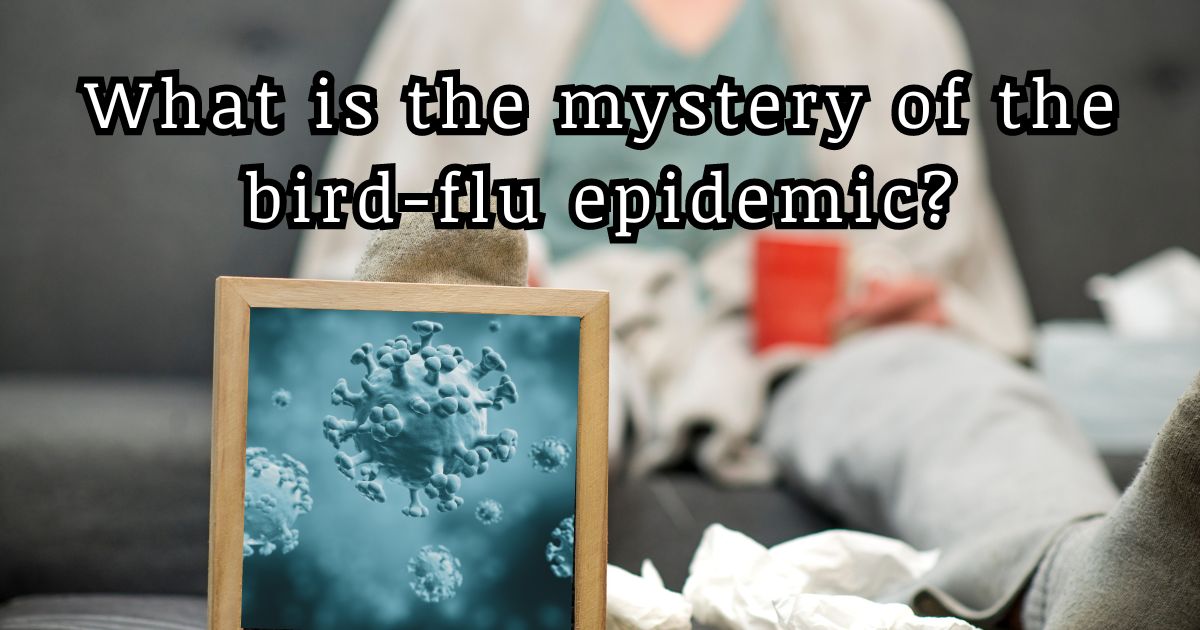 Bird flu Pandemic